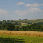 Totteridge Farm