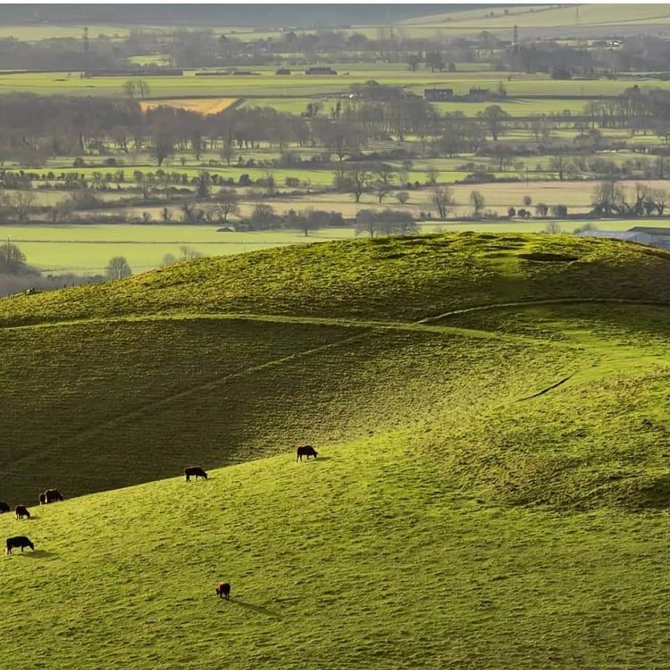Bridge Farm - Visit Pewsey Vale