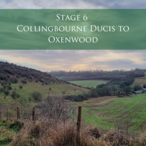 Stage 6 - Collingbourne Ducis to Oxenwood